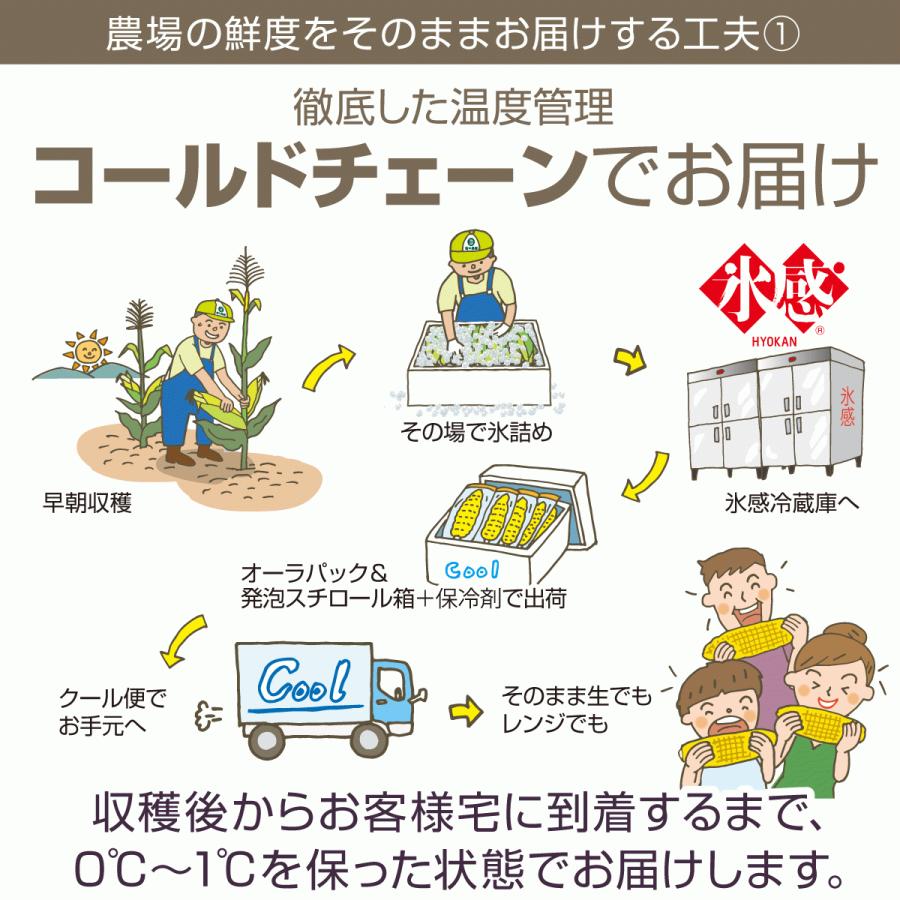 朝生とうもろこし 15本セット(鮮度保持袋入) 含水率85％以上でシャキシャキ、プリップリ! L以上 クール便 備中農園のこだわり野菜 |  | 04