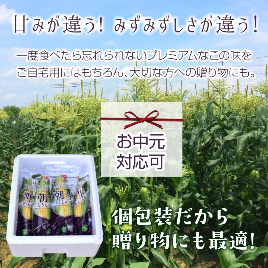 朝生とうもろこし 15本セット(鮮度保持袋入) 含水率85％以上でシャキシャキ、プリップリ! L以上 クール便 備中農園のこだわり野菜 |  | 08