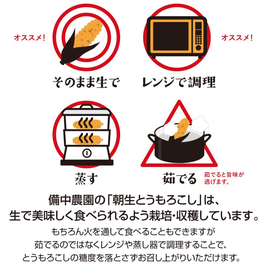 朝生とうもろこし 4本セット(鮮度保持袋入) 含水率85％以上でシャキシャキ、プリップリ! L以上 クール便 備中農園のこだわり野菜｜bichumarche｜08