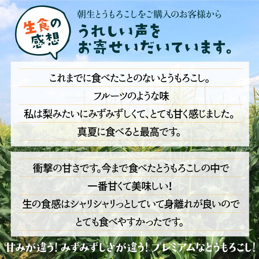 朝生とうもろこし 8本セット(鮮度保持袋入) 含水率85％以上でシャキシャキ、プリップリ! L以上 クール便 備中農園のこだわり野菜 |  | 09