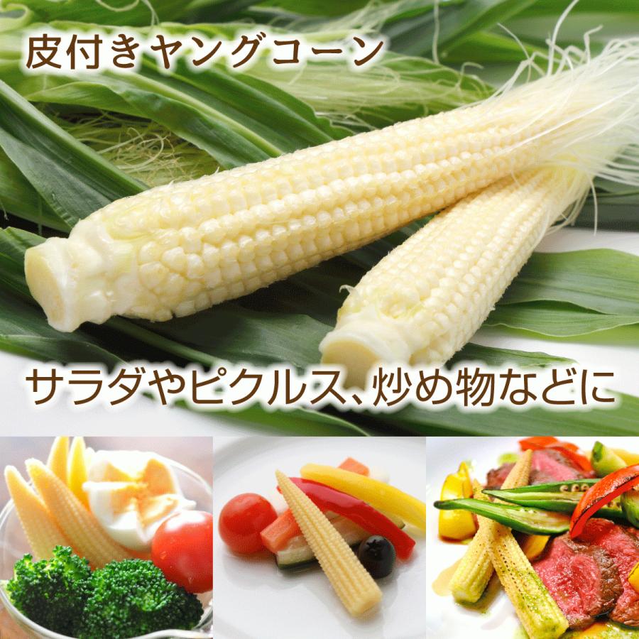 皮付きヤングコーン30本 クール便送料込 備中農園のこだわり野菜 |  | 01