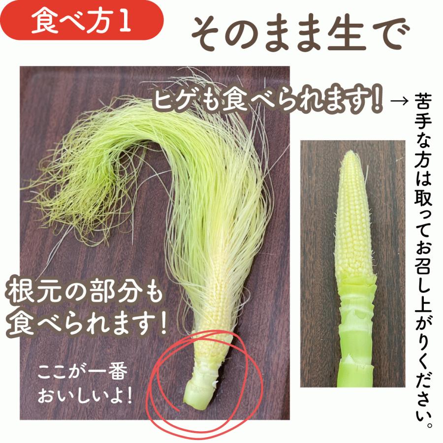 皮付きヤングコーン30本 クール便送料込 備中農園のこだわり野菜 |  | 03