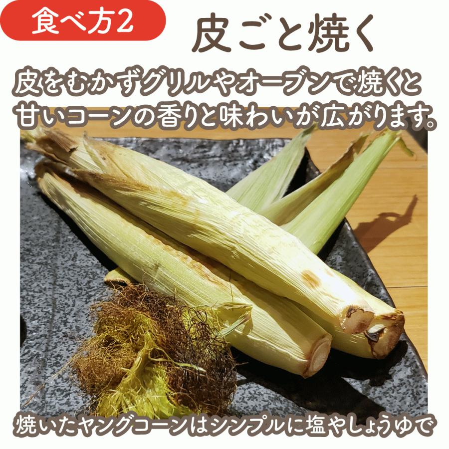皮付きヤングコーン30本 クール便送料込 備中農園のこだわり野菜 |  | 04