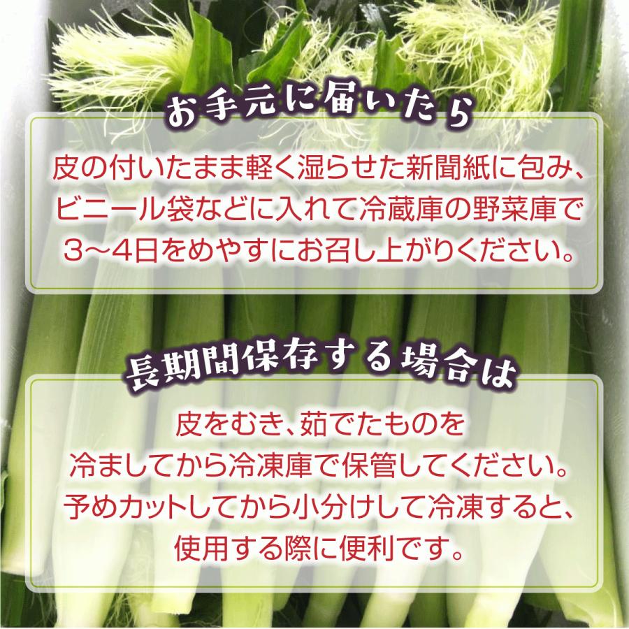 皮付きヤングコーン30本 クール便送料込 備中農園のこだわり野菜 |  | 05