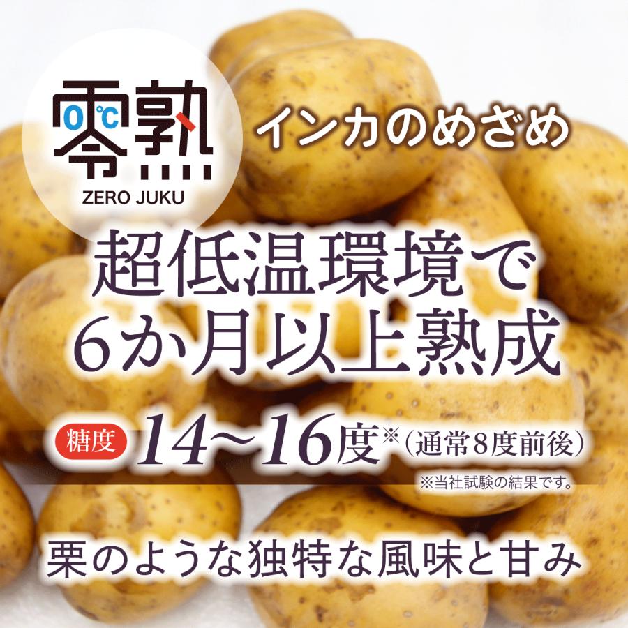 零熟インカのめざめ 800g(400g×2袋) SS〜Mサイズ 《野菜ソムリエ