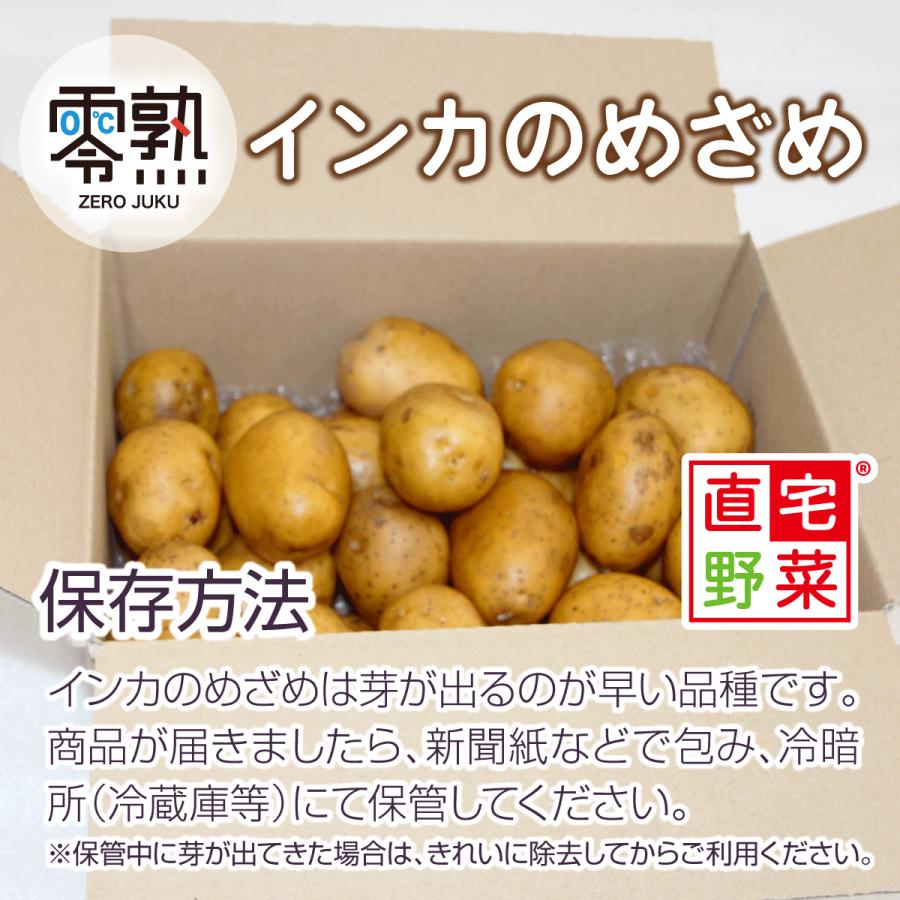零熟インカのめざめ 800g(400g×2袋) SS〜Mサイズ 《野菜ソムリエ