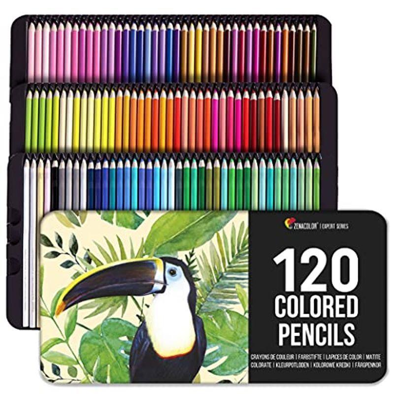 Zenacolor 1 色鉛筆 セット 番号付き 金属 製 箱 大人 子供用プロ並み色鉛筆セット 人向け塗絵 マンダラ 学 クロッキーブック Royaldiamondlabradoodles Com