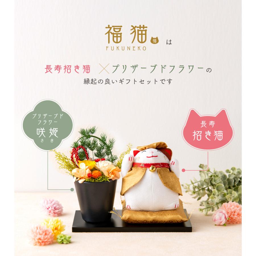 猫　かぎ編みブランケット　引越しお祝い　誕生日　敬老の日　母の日プレゼント 猫 かぎ編みブランケット 引越しお祝い 誕生日 敬老の日 母の日プレゼント