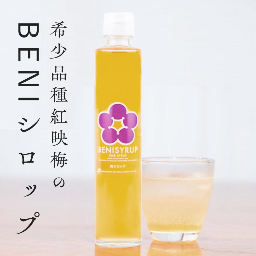自然の美味しい梅ジュースの素（梅シロップ)x10 梅シロップ 無添加 原液 梅 ジュース BENIシロップ 希釈タイプ うめ