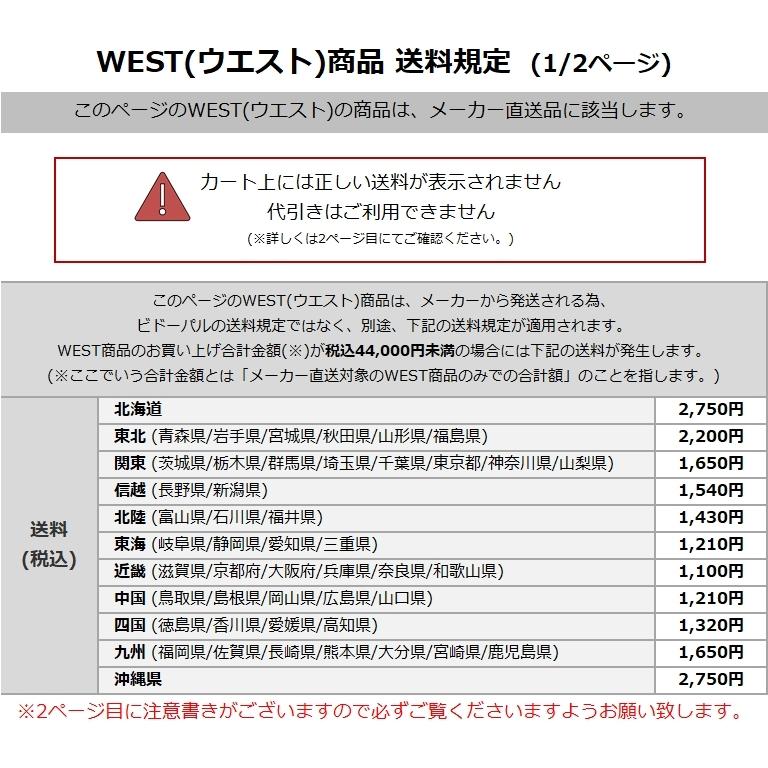 WEST(ウエスト) Agaho brass 34S スイッチプレート 鏡面ゴールド (品番
