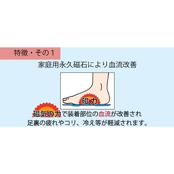 磁気 インソール　管理医療機器インソール　美・フォームラボ　 |  | 02