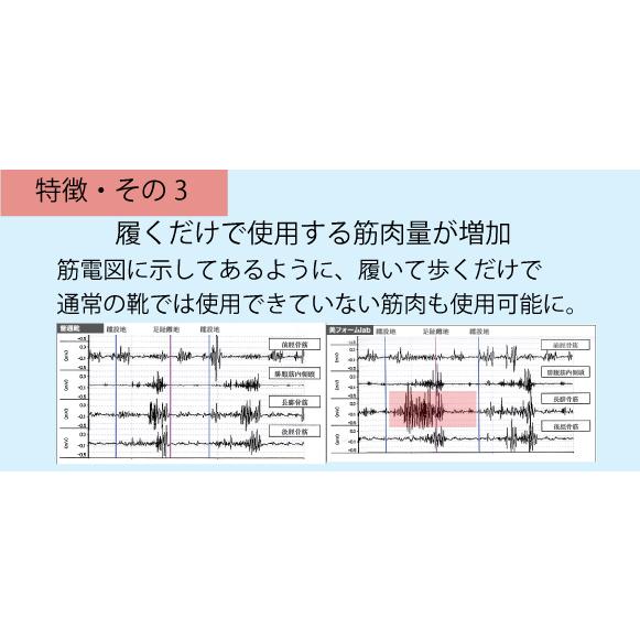 磁気 インソール　管理医療機器インソール　美・フォームラボ　 |  | 04