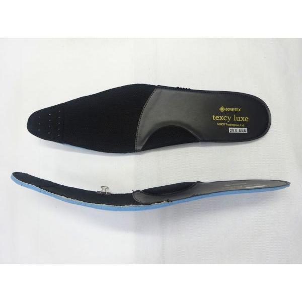 28cm(us11.5) texcy luxe テクシーリュクス TU-8001 GORE-TEX BL
