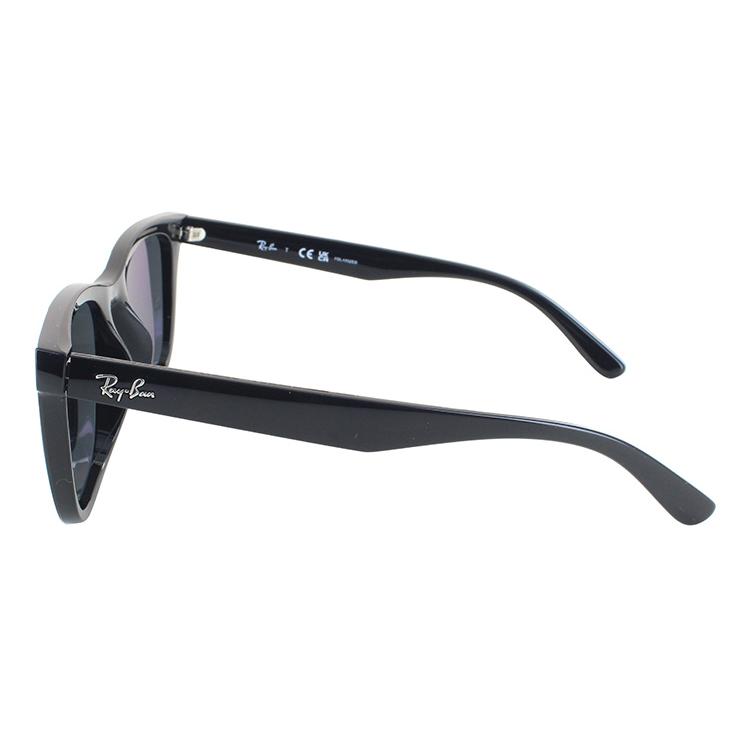 Ray-Ban レイバン 偏光サングラス RB4391D 601/81 65 大きめ Ray-Ban レイバン 偏光サングラス RB4391D 601/81 65 大きめ