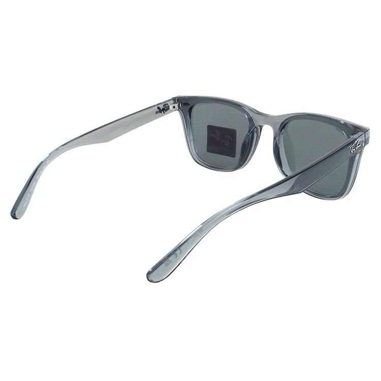 Ray-Ban レイバン サングラス RB4391D 645087 65 大きめレンズ Ray-Ban レイバン サングラス RB4391D 645087 65 大きめレンズ