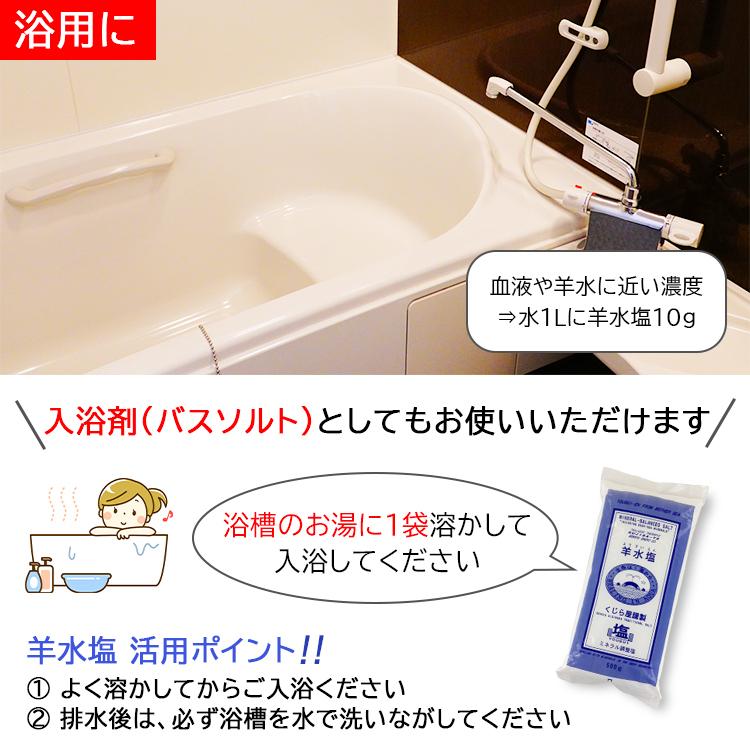 入浴剤 バスソルト 羊水塩 ミネラル調整塩 500g×2袋 お試し用 くじら屋