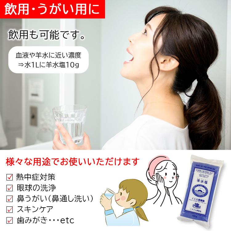 入浴剤 バスソルト 羊水塩 ミネラル調整塩 500g×2袋 お試し用 くじら屋