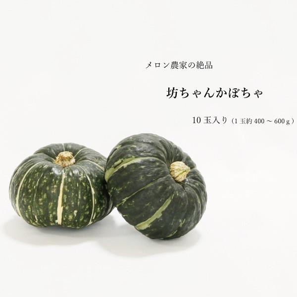 送料無料 坊ちゃん かぼちゃ 10玉入 とれたて 熊本 農家直送 鮮度1番 カボチャ 南瓜 ホクホク 400 600グラム 品数豊富
