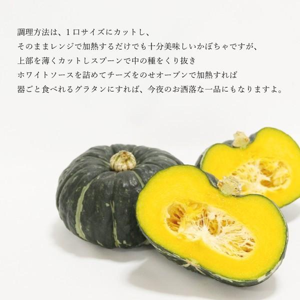 送料無料 坊ちゃん かぼちゃ 4玉入 とれたて 熊本 農家直送 鮮度1番 カボチャ 南瓜 ホクホク 400 600グラム Bocyan 4 Big River 通販 Yahoo ショッピング