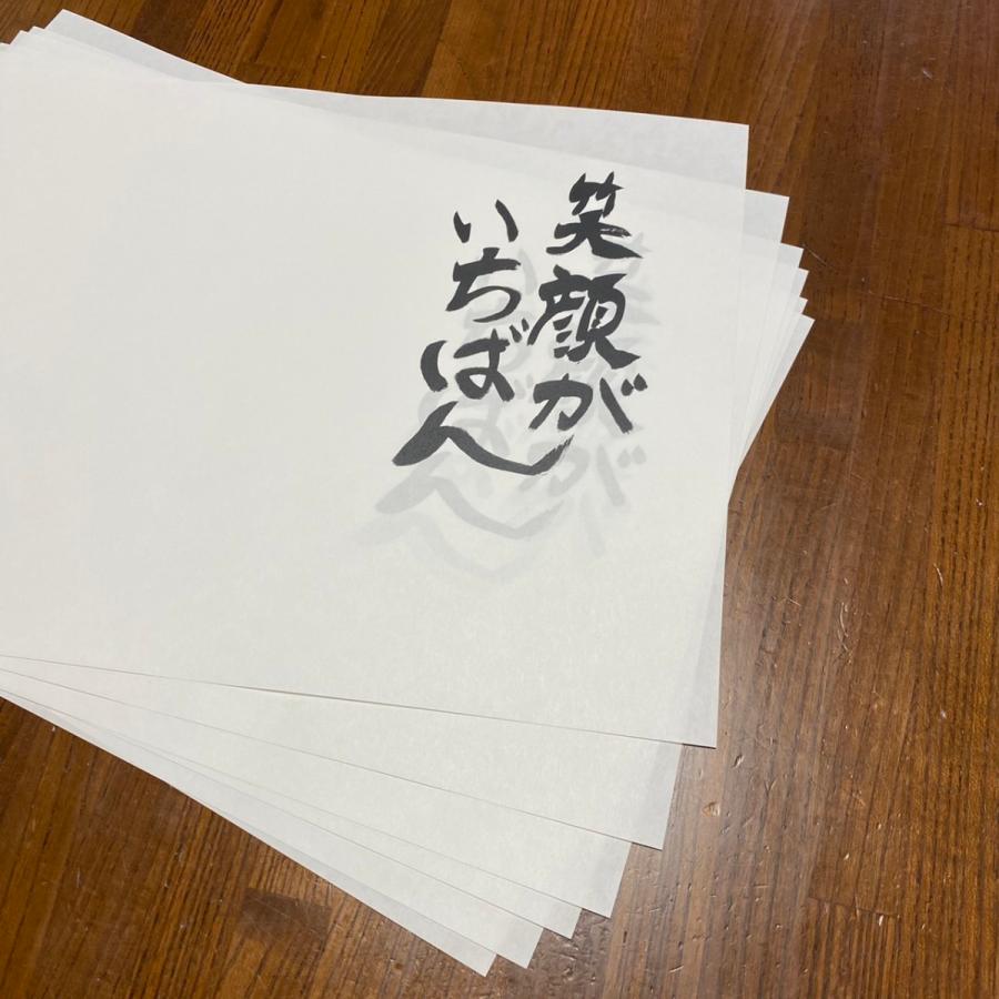 ランチョンマット 抗菌紙 使い捨て 衛生的 シンプル 清潔 便利 B4 100