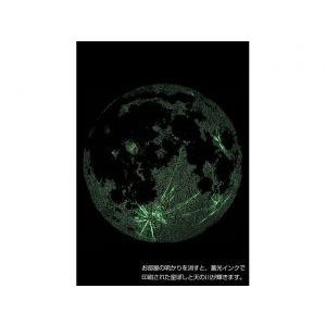 お家で観察 月 ポスター 自由研究 宿題 moon クレーター 夜光ポスター