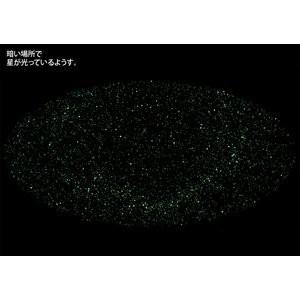 お家で観察 星座ポスター 自由研究 宿題 ポスター 夜光ポスター ハンメル図法 全天８８星座絵図 Bs Po5 Big Spring 通販 Yahoo ショッピング