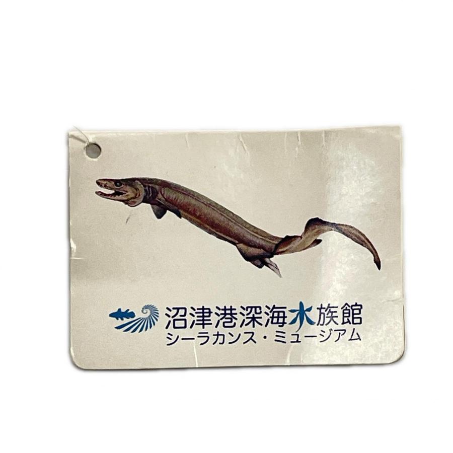 カロラータ 沼津深海魚水族館 ぬいぐるみ リアルシリーズ Frilled