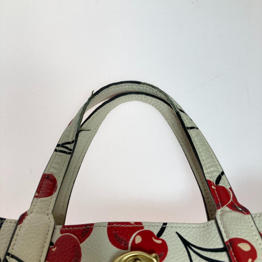 COACH（コーチ） ◎◎ ウィロウ トート 24 ウィズ チェリー プリント