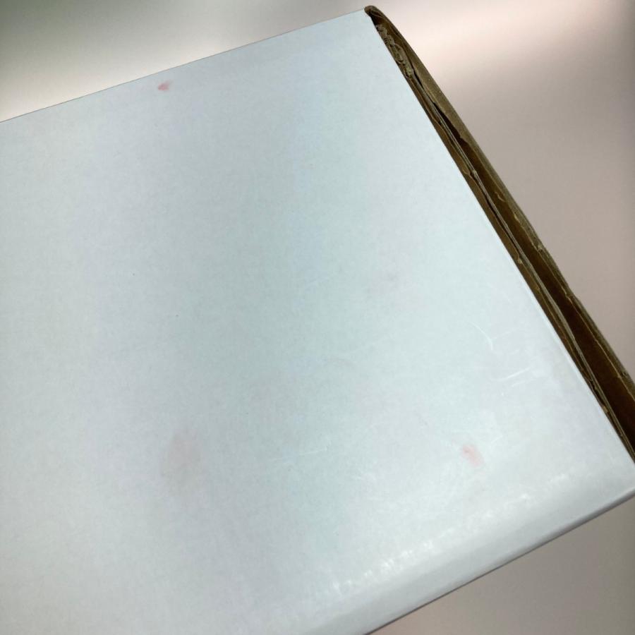 ◎◎ アムウェイ NUTRILITE メディカラダウォーク 脚用運動機器 NTMK30