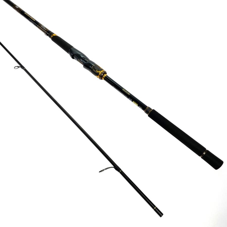 DAIWA ダイワ 21 モアザン ブランジーノ EX AGS 1010ML/M 05800105