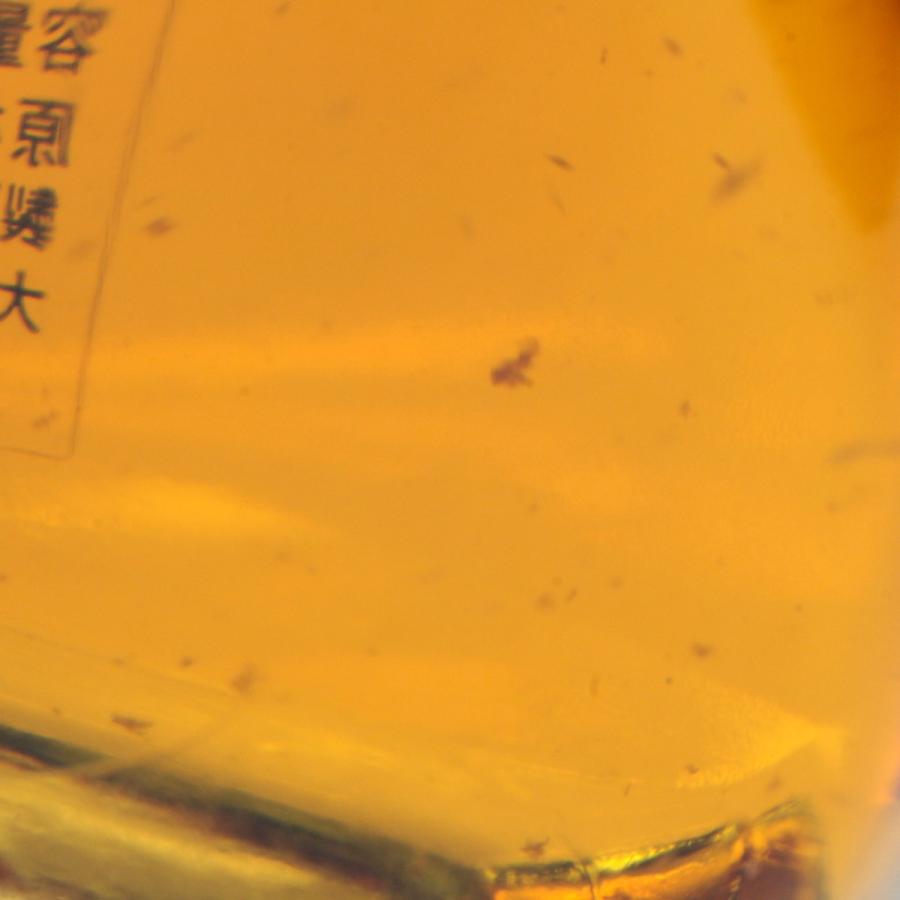 北海道内限定発送】 SUNTORY サントリー ウイスキー ROYAL ローヤル