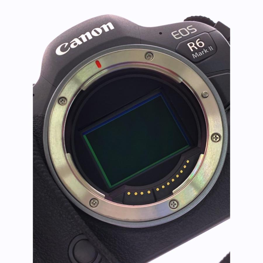 ▽▽ CANON キヤノン EOS R6 MarkII フルサイズミラーレスカメラ ▽▽ CANON キヤノン EOS R6 MarkII フルサイズミラーレスカメラ