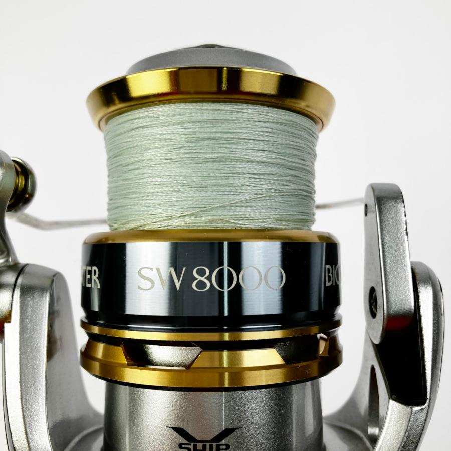 ▽▽ SHIMANO シマノ 13バイオマスター SW10000HG-A 8000番スプール