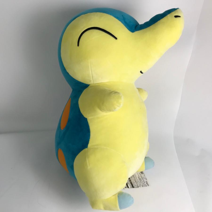 ポケモン 等身大ヒノアラシ ポケモンセンター 公式 ぬいぐるみ 等身大