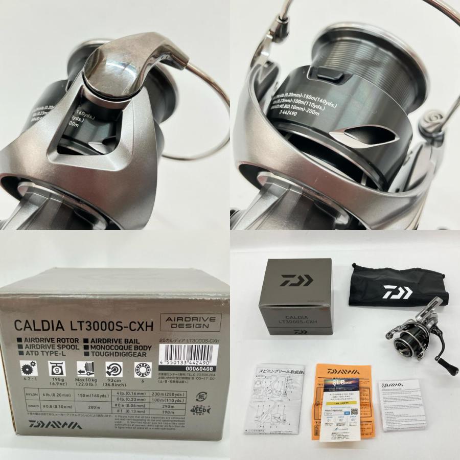 DAIWA ダイワ CALDIA 25 カルディア LT3000S-CXH 60408 目立った傷や