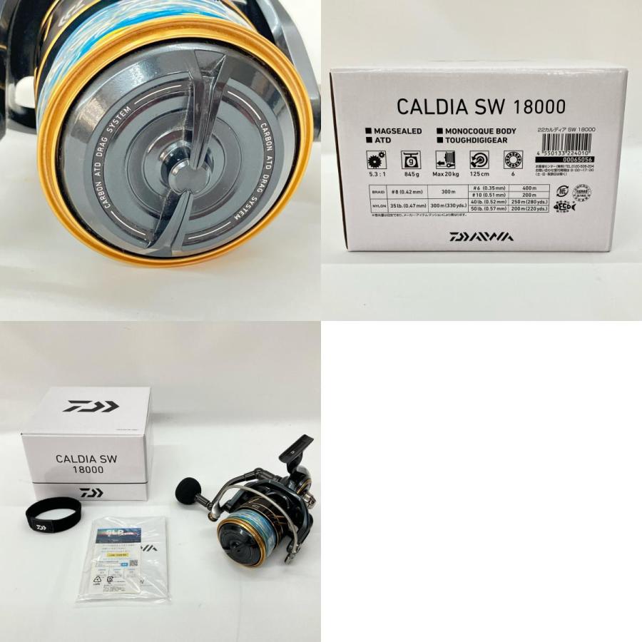 ダイワ CALDIA SW 18000 カルディア Amazon | ダイワ(DAIWA) 純正