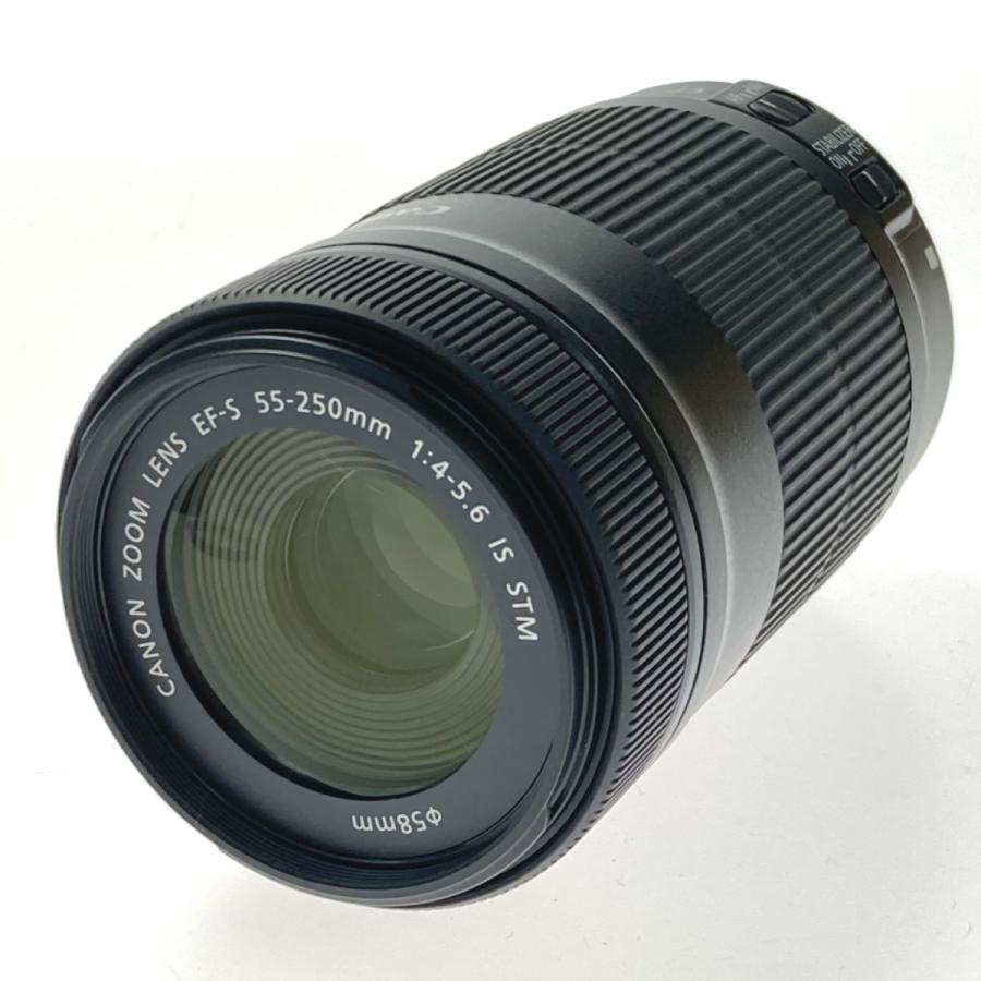 CANON キャノン ズームレンズ EF-S 55-250mm 1:4-5.6 IS STM 交換