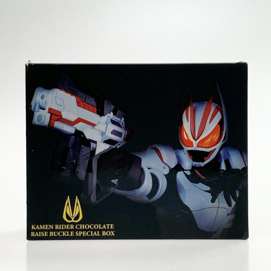 ☆☆ 仮面ライダーギーツ レイズバックルスペシャルBOX 仮面ライダーギーツ レイズバックルスペシャルBOX 2025年最新