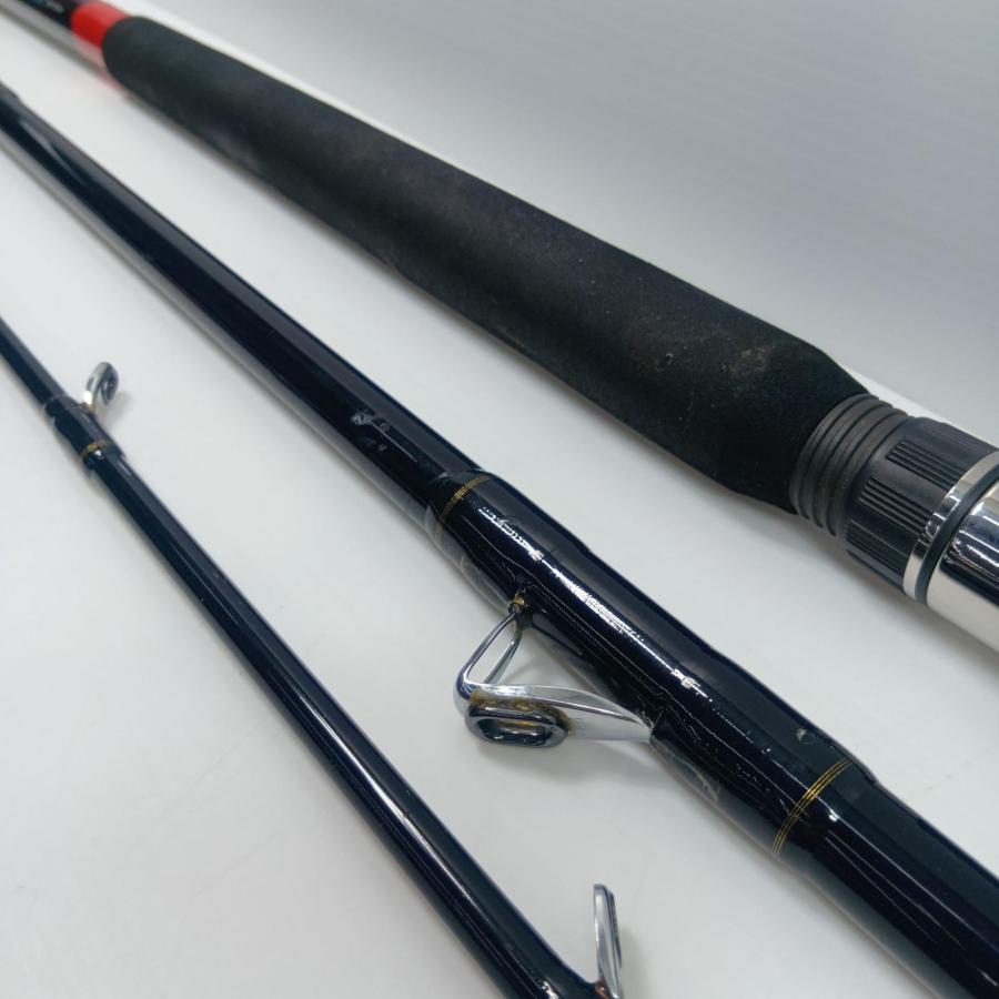 DAIWA ダイワ 船竿 DAIWA 05282024 剣崎アキアジSP310V 05282024 傷や汚れありの画像