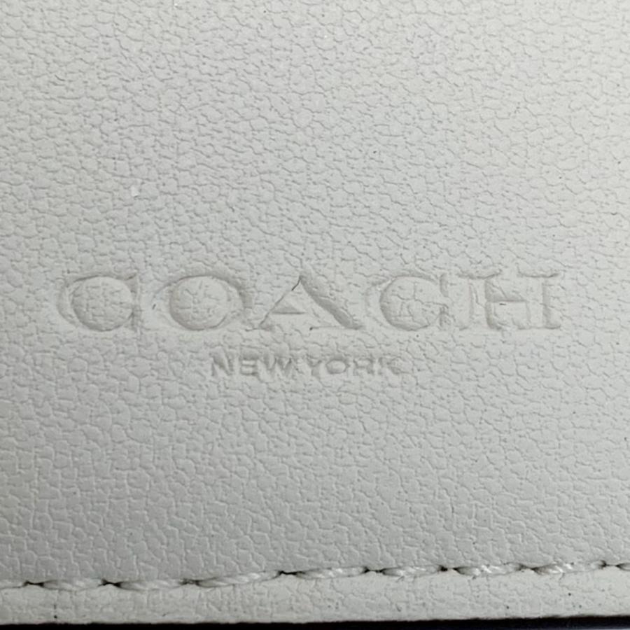COACH（コーチ） ストロベリー 苺 プリント エッセンシャル ミニ