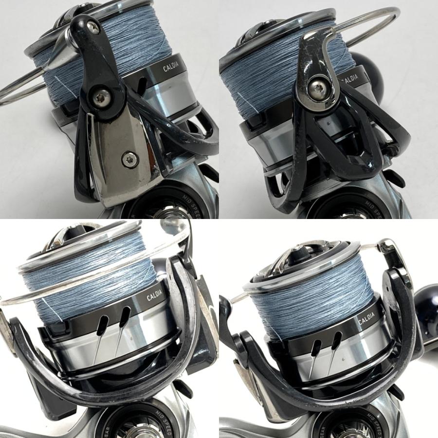 DAIWA ダイワ 18 カルディア LT6000D 056045 カスタムハンドル 