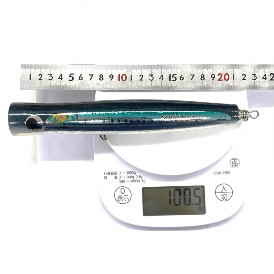 CARPENTER カーペンター GARAM ガラム 210 MD 夢追釣師ロゴ マイワシ系