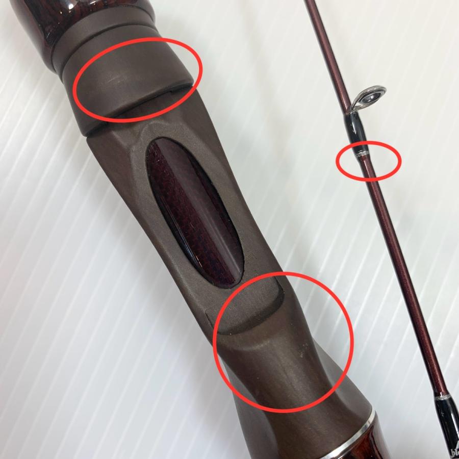 ττ Fishman フィッシュマン ロッド ルアーロッド Beams blancsierra