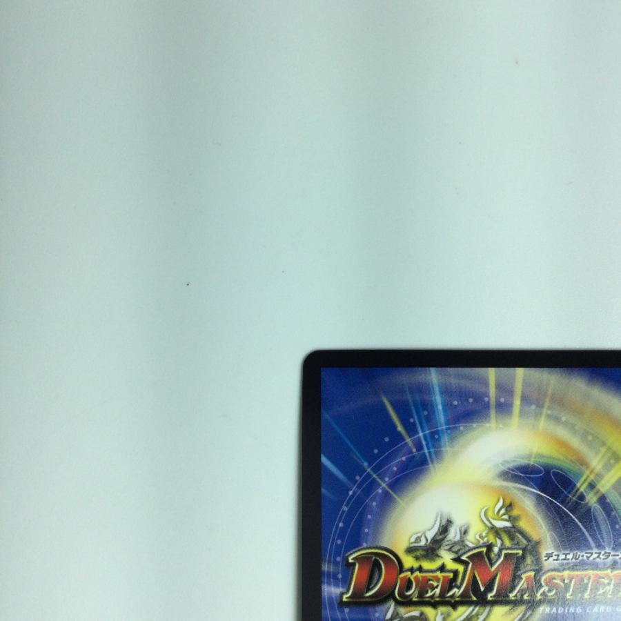ζζ トレカ デュエルマスターズ 龍素記号wDサイクルペディア