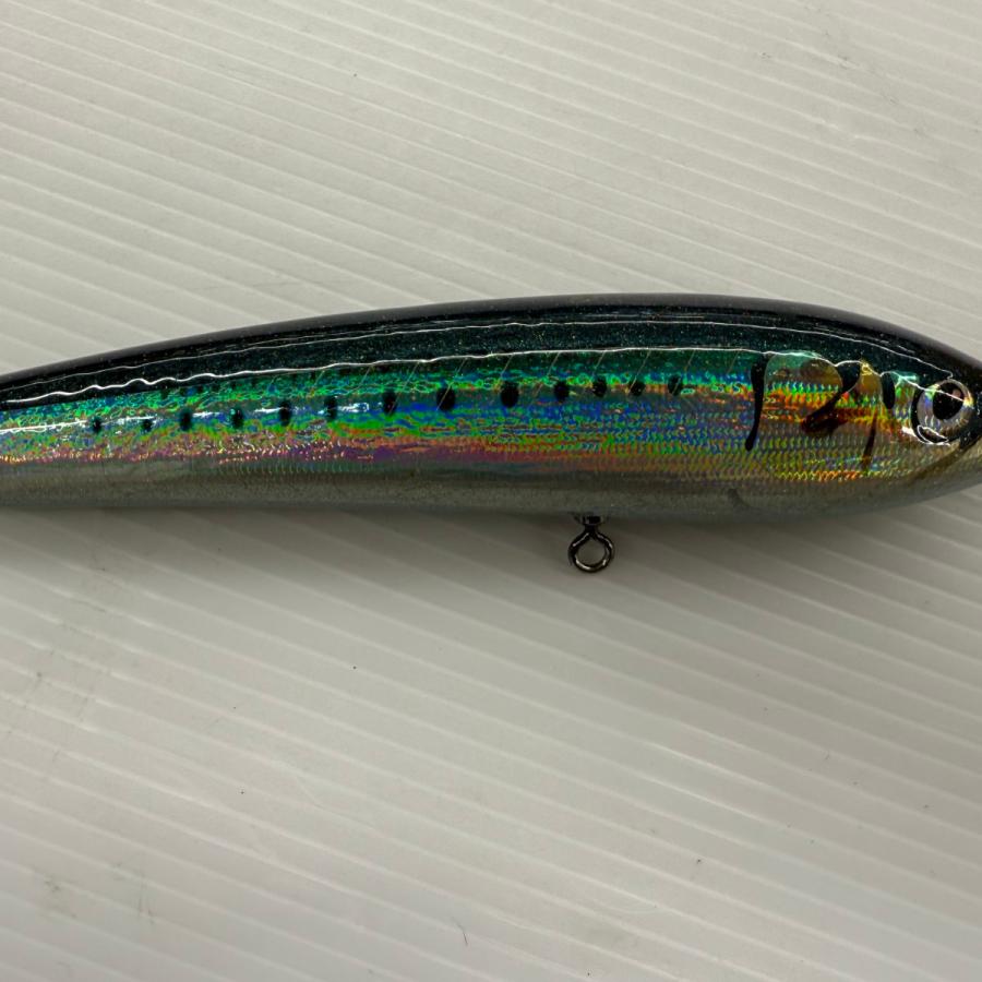 カーペンター　ブルーフィッシュ　60-170 カーペンター】 ブルーフィッシュ BF60-170 Carpenter Blue Fish