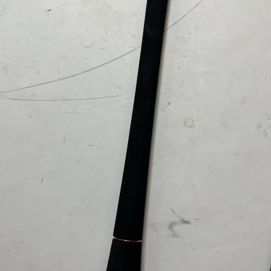 DAIWA ダイワ ロッド ルアーロッド 21ソルティガ C 83-3 05804110 やや