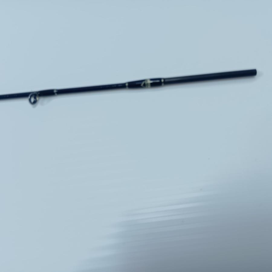 Fishman フィッシュマン BEAMS blancsierra 4.8UL 美品 程度A 袋付