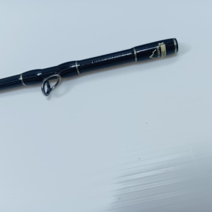 Fishman フィッシュマン BEAMS blancsierra 4.8UL 美品 程度A 袋付