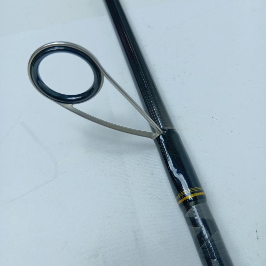 DAIWA ダイワ シーバスロッド シーバスハンターX 100M・R 05800078