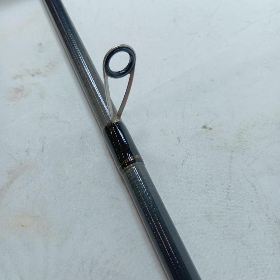 DAIWA ダイワ シーバスロッド シーバスハンターX 100M・R 05800078